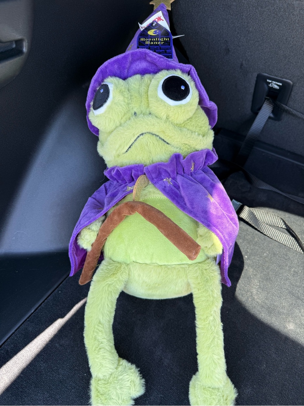 Moonlight Manor TJMaxx wizard Halloween frog, shelf sitter plush